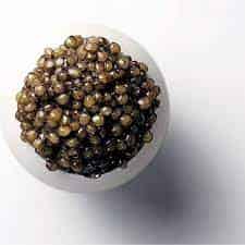 قیمت خرید خاویار خلیج فارس با فروش عمده